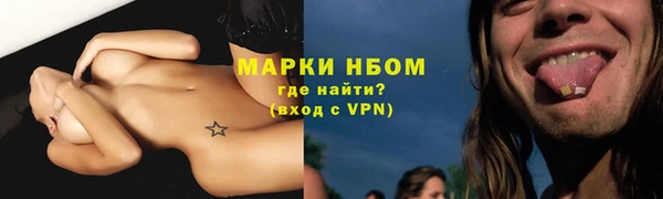 прущие грибы Абаза
