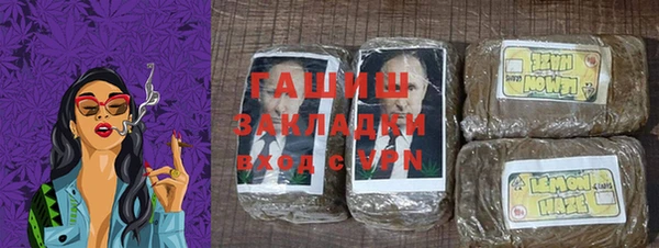 прущие грибы Абаза