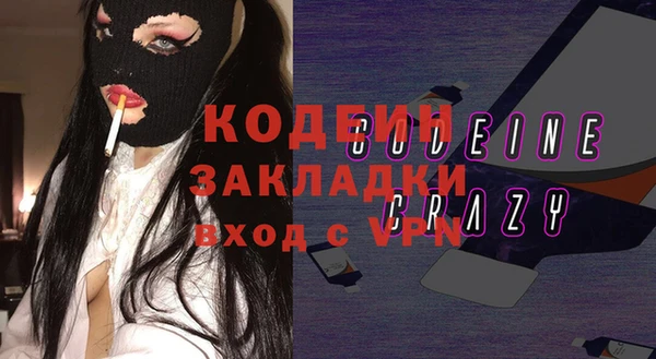 прущие грибы Абаза