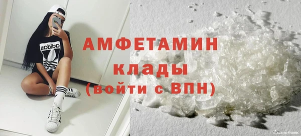прущие грибы Абаза