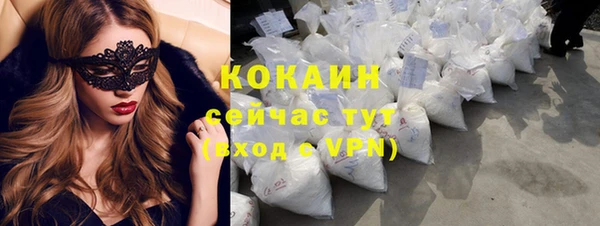 прущие грибы Абаза